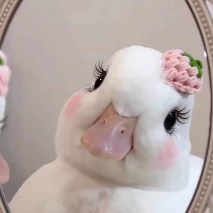 Jenanhii