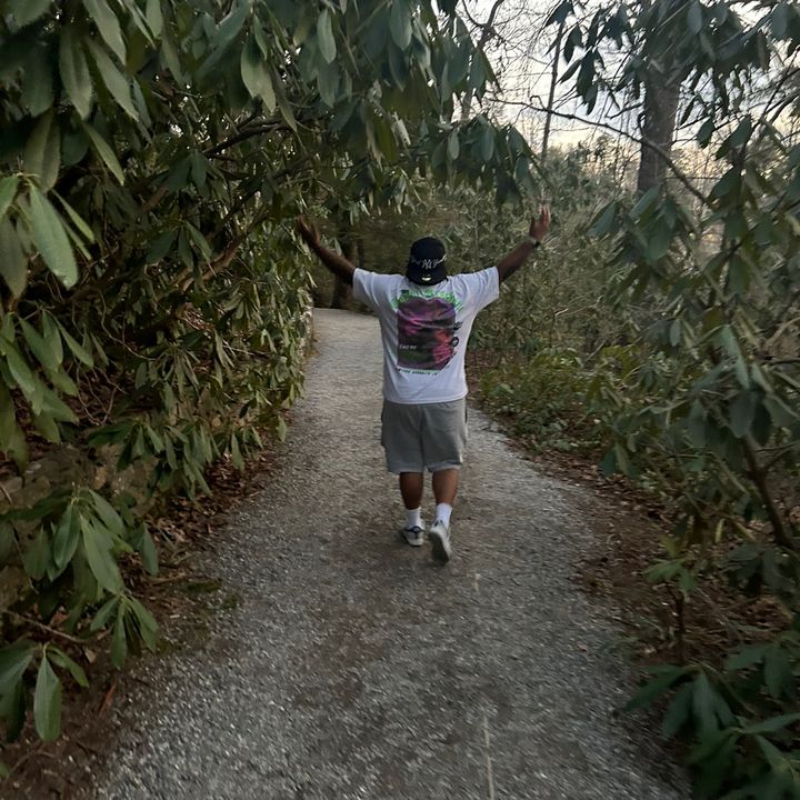 Bri Gambino