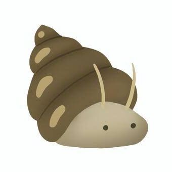 そこら辺に落ちてるタニシ🐚