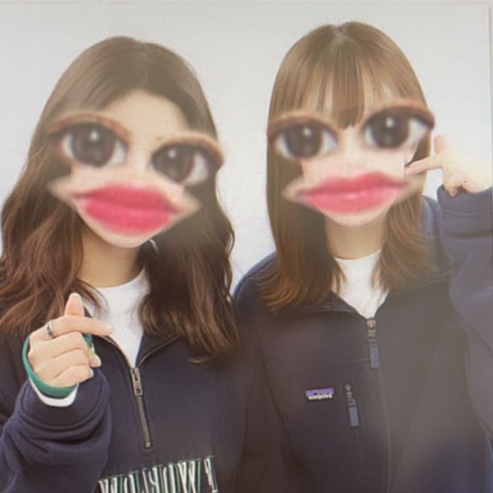 しまみ