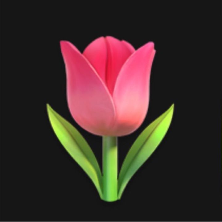 𓍢ִ໋🌷͙֒ᰔᩚ