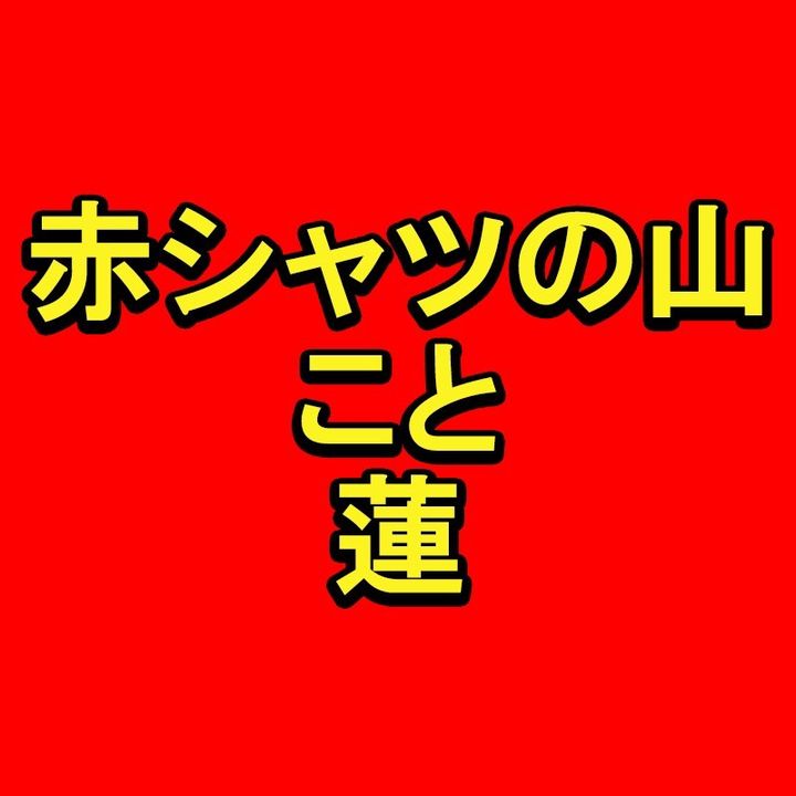 赤シャツの山こと蓮