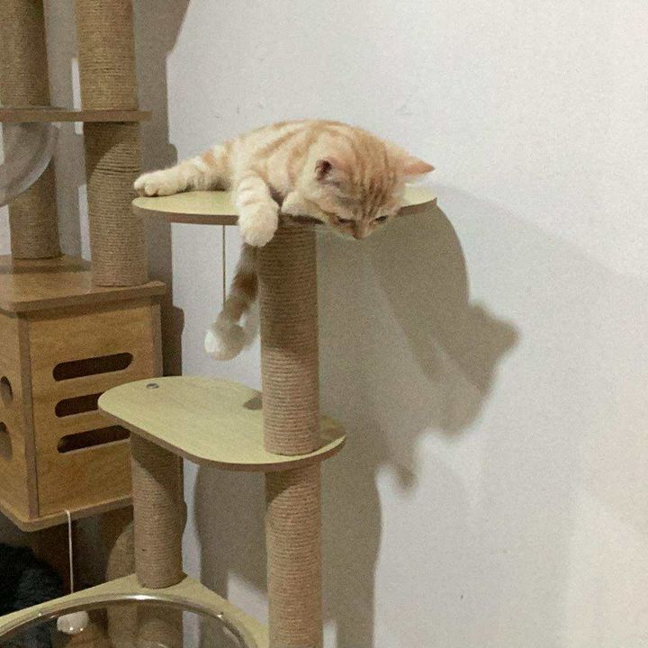 อยากรีวิว