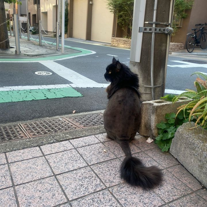 ばぶち