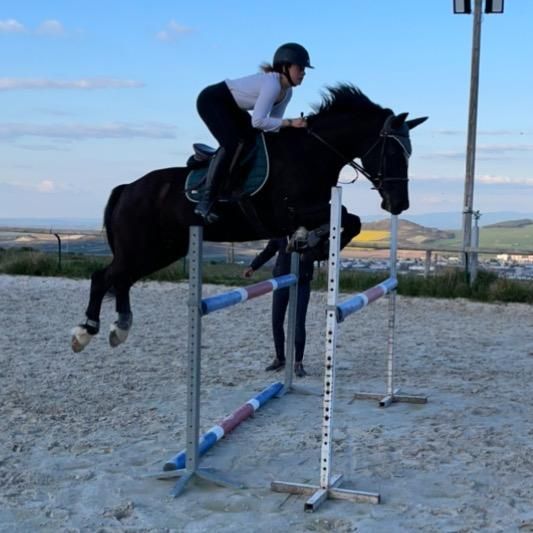 romane_sch63