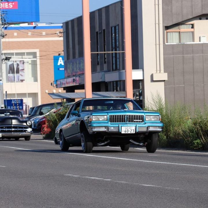 244🌮
