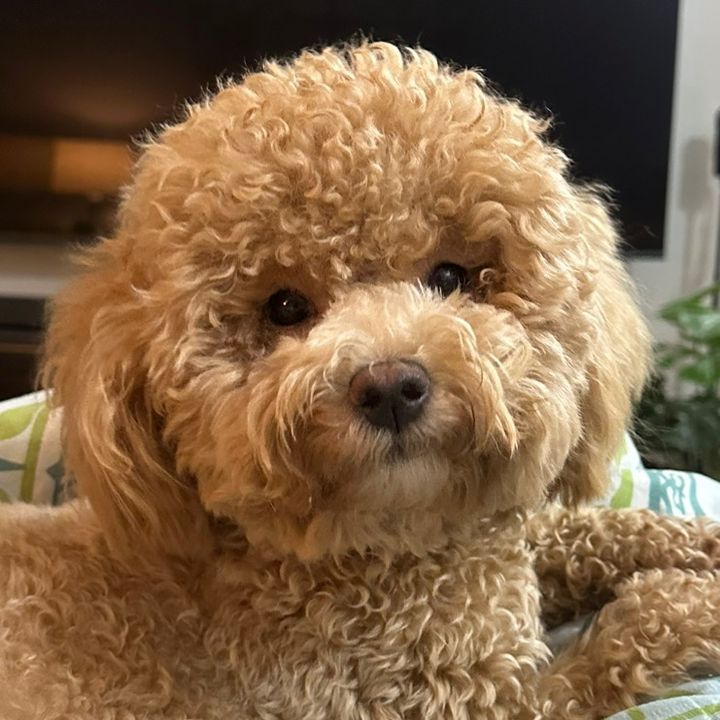 Soph