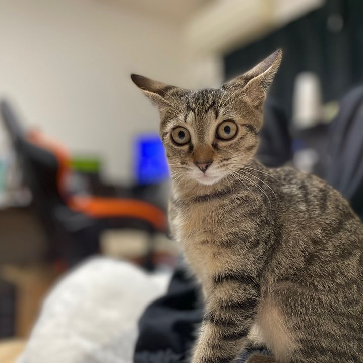 りょう