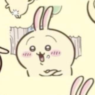 Rabbit🐰