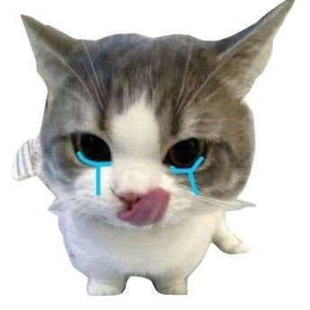 🫩
