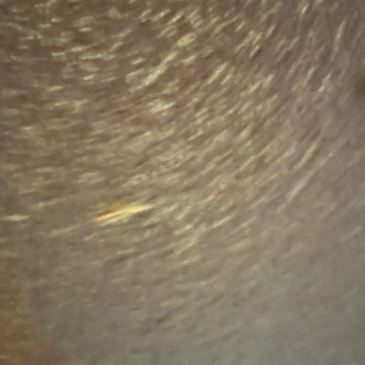 🐷
