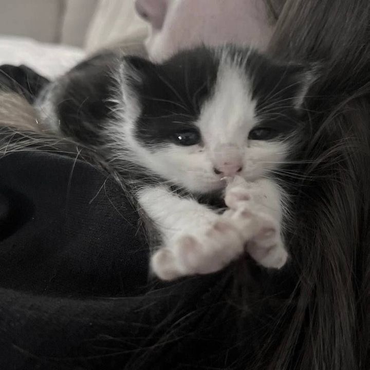 ㅎ