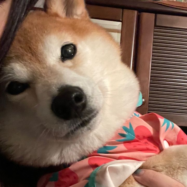 ma
