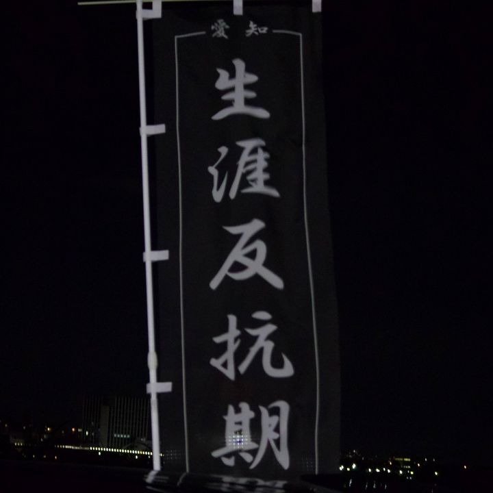 生涯反抗期🖕