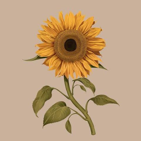 รีวิวตามใจตะวัน🌻