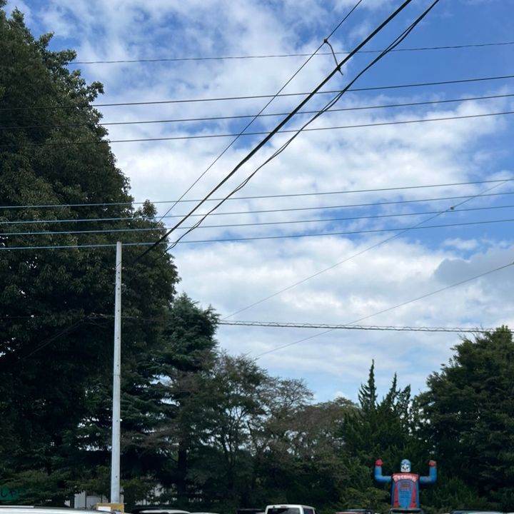 らんらん