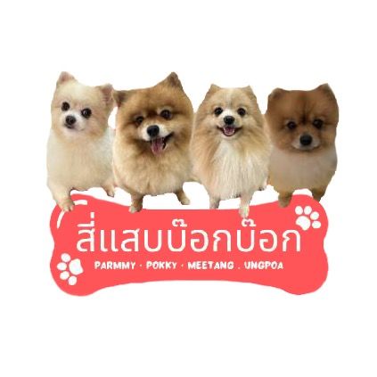 สี่แสบ บ๊อก บ๊อก