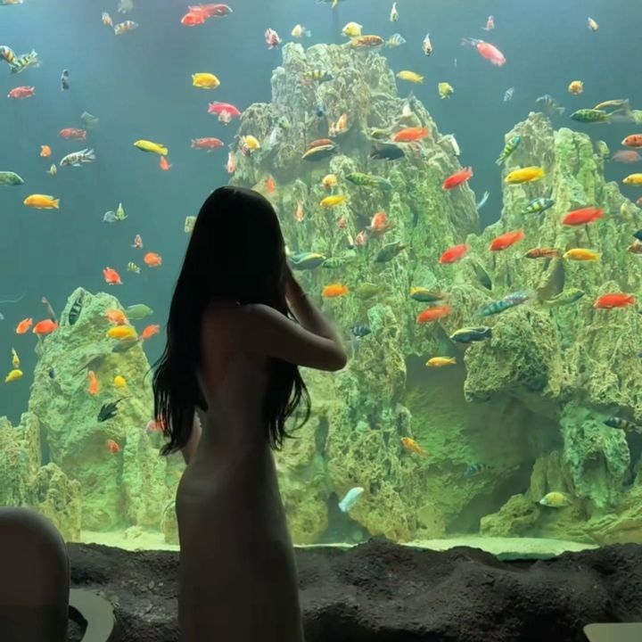 🦋Cục Cưng 🦋