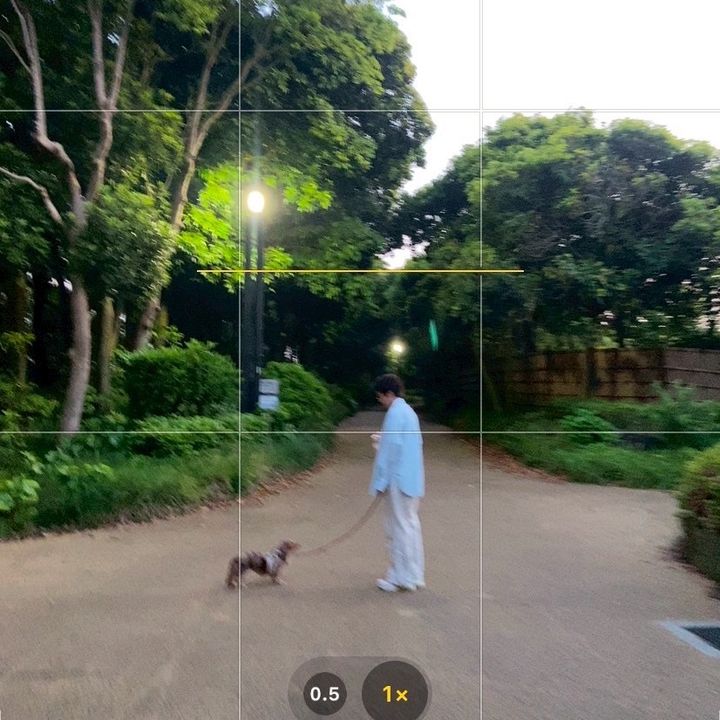 かえで