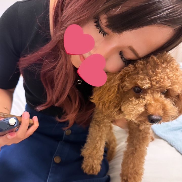 みたこす