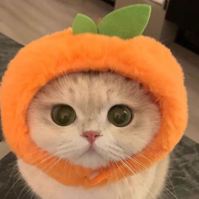 มะลิชอบรีวิว
