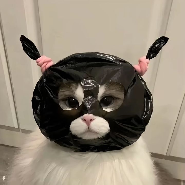 𝑛𝑎𝑑𝑖𝑎 𝑟𝑒𝑣𝑖𝑒𝑤✿.𐙚 ̊