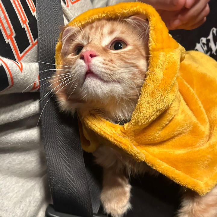 Marcos