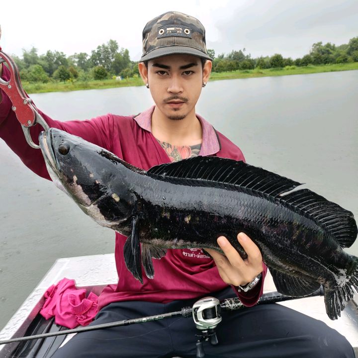 S2K Fishing Shop