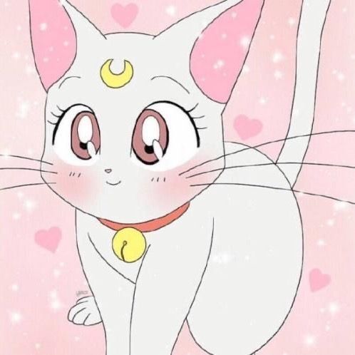 Suu🐰ꯁ