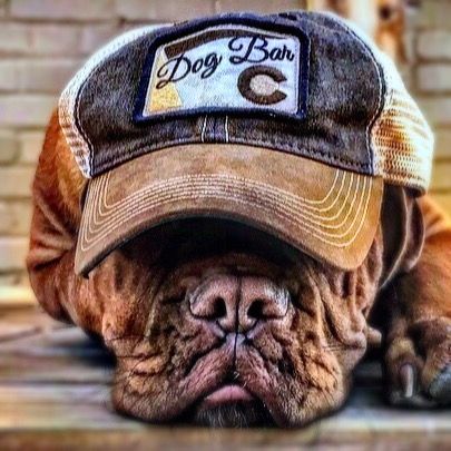 HOOCH & HIKES