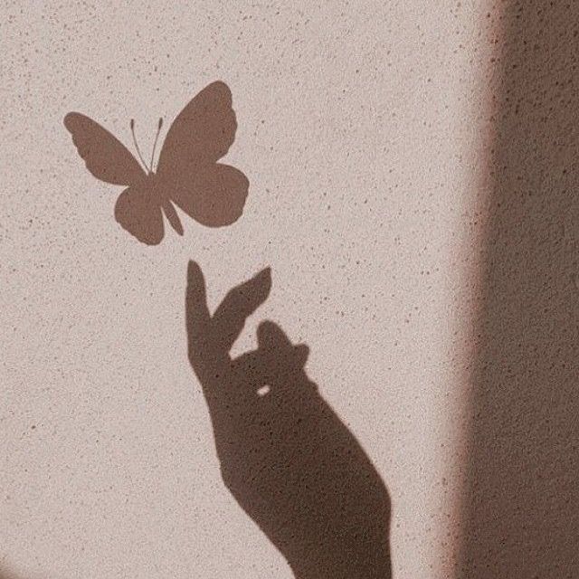 Nicaaaaaa🦋