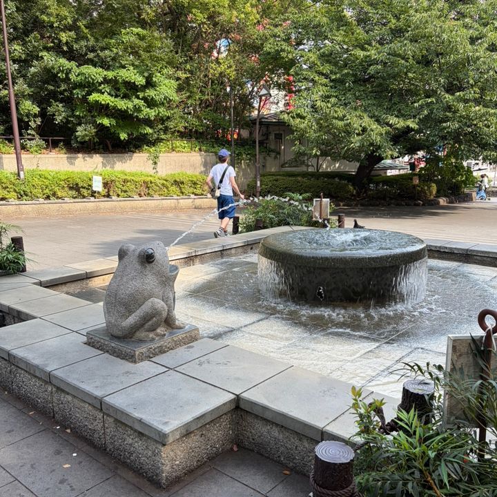 は