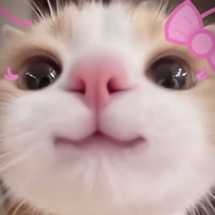Congchuacuaai???