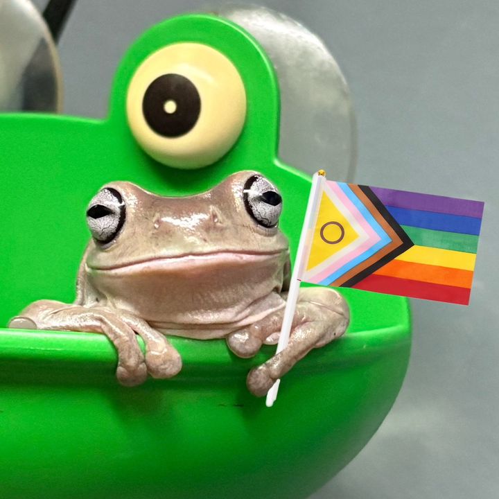 Frog Rescue 🐸✨