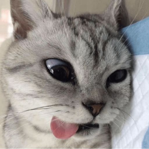 xoxojejee01