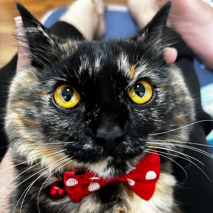~MER~