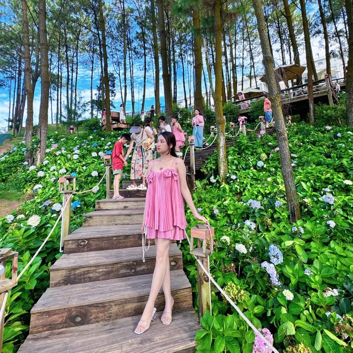 Thuanhhh