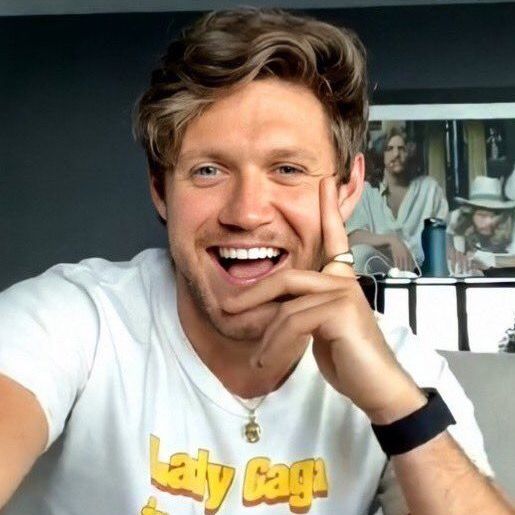 4niall (fan)