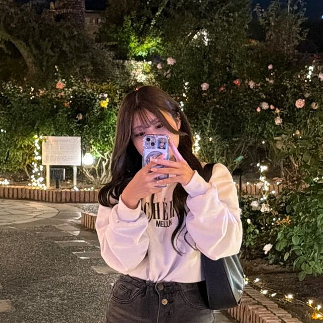そるてぃー🧂