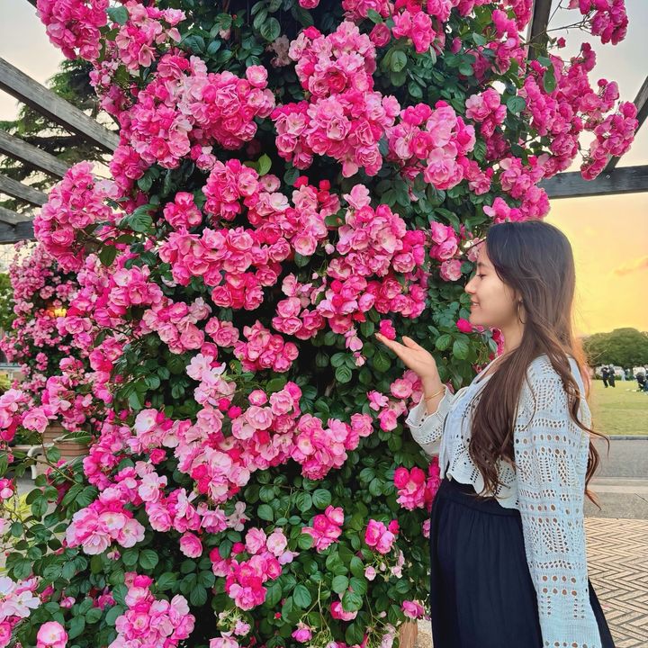 Maaya💗