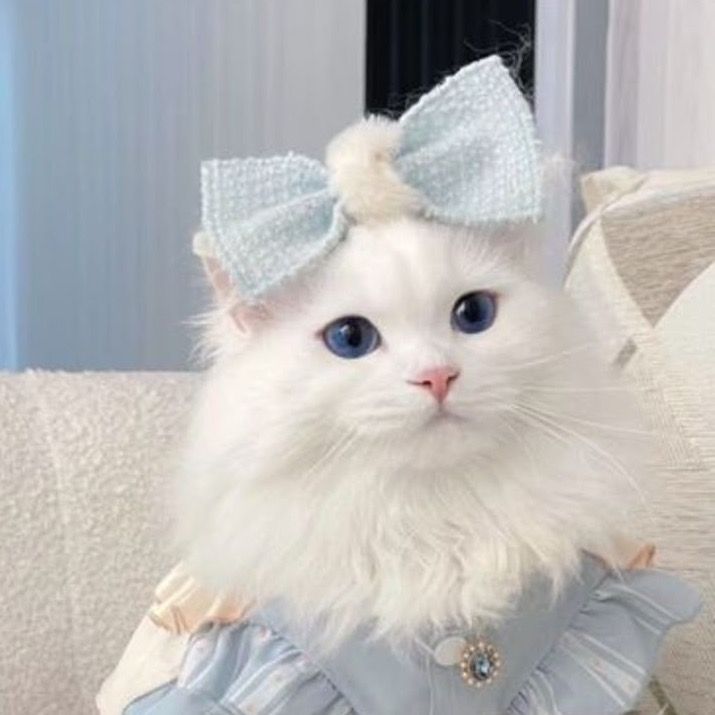 うーたん