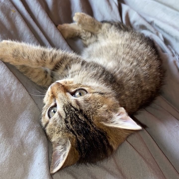 Emma ♡