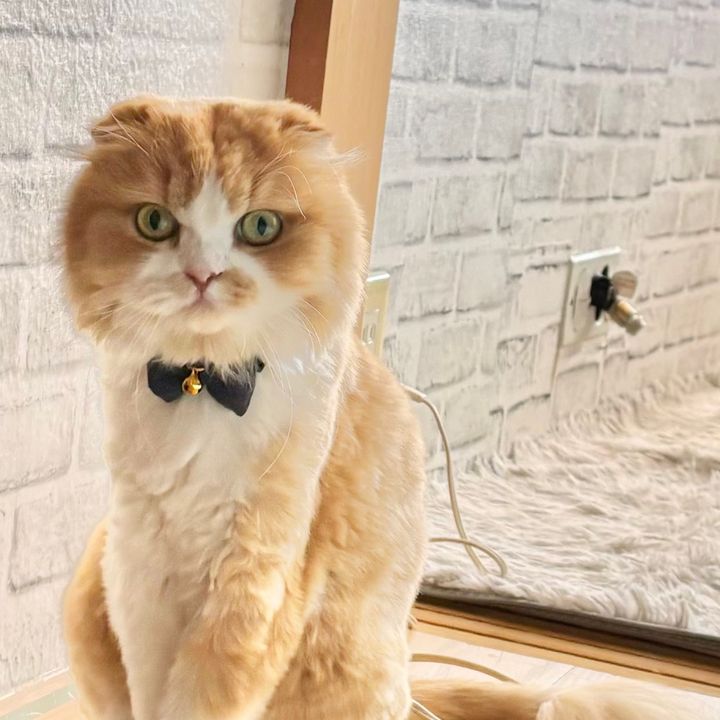 o(。・‧̫・。)o
