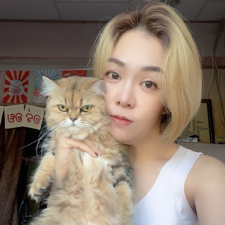หมดแก้ว