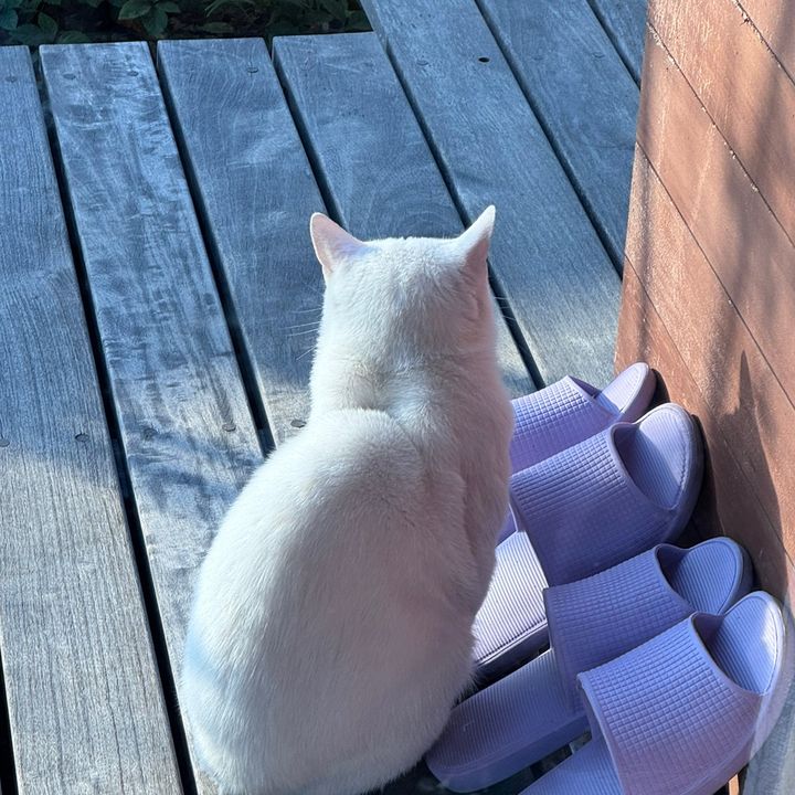 ミューツー