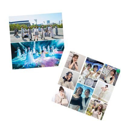 ドロシャイ🐬☀️ dorofinsha🐬☀️