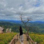 Đài Trang Phạm