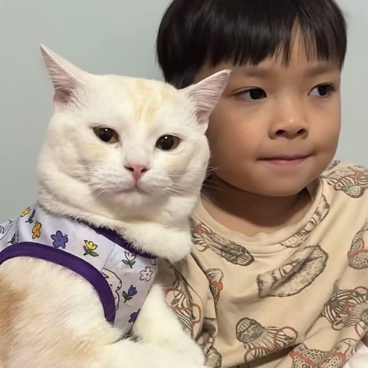 บ้านลันรักสัตว์