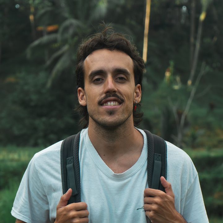 Nico Viaja Solo 🕊️