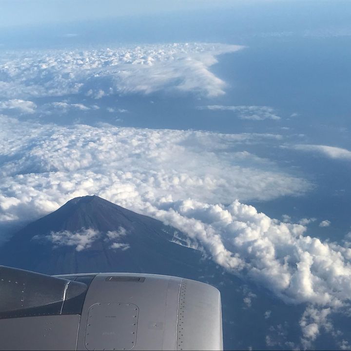 ゆうき